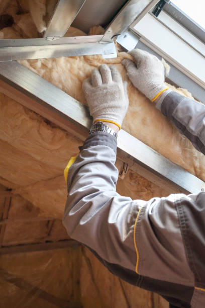 Best Insulation Maintenance and Repair in Bay Harbor Islands, FL